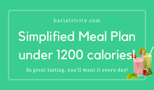 Simple One Day Meal Plan On A Bariatric Diet Bariatricity